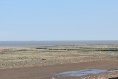 IMG_1074