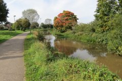 16d.-Upstream-from-Firepool
