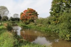 17.-Upstream-from-Firepool
