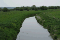 3.Cradle-Bridge-Looking-Upstream.