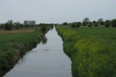8.-Cradle-Bridge-Looking-Downstream