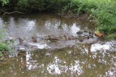 1.-Kents-Mill-weier-and-leat-17