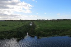 11.-Flowing-through-Puxton-Moor-5