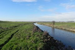 12.-Looking-Downstream-from-Aller-ROW-Bridge-4810