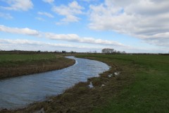 24.-Upstream-from-Midelney-Bridge-2