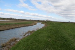 25.-Downstream-from-Westport-Canal-2