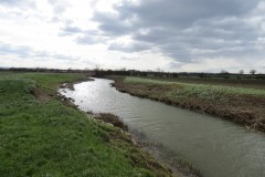 25.-Downstream-from-Westport-Canal-3