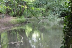 27a.-Upstream-from-Murtry-Old-Bridge