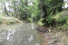 3.-Downstream-from-Hapsford-Bridge