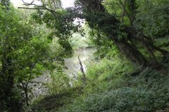 44.-Downstream-from-Murtry-New-Bridge
