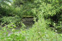 45.-Weir-Downstream-from-Murtry-New-Bridge