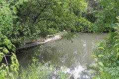 46.-Weir-Downstream-from-Murtry-New-Bridge