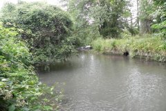 81.-Downstream-from-River-Island