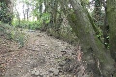 83.-Dry-Leat-Near-Shepherds-Mill