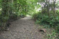 85.-Dry-Leat-Near-Shepherds-Mill