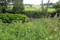 86.-Mells-River-joins-the-River-Frome