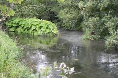 88.-Mells-River-joins-the-River-Frome