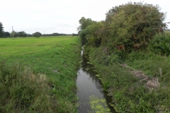 11.-Looking-upstream-from-Tilleys-Drove-Bridge