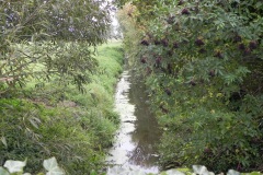 15.-Looking-downstream-from-Tilleys-Drove-Bridge