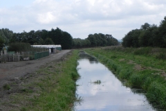 27.-Looking-upstream-from-Oaks-Drove-Bridge