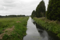 30.-Looking-downstream-from-Oaks-Drove-Bridge