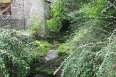 1.-Emerges-from-Goughs-Cave