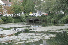 11.-Coxs-Mill-Pond-Looking-Upstream