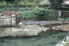 24.-Queens-Row-pond