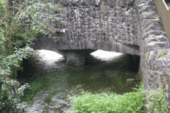 25.-Queens-Row-Pond-Crossing-A-Upstream-Face