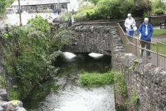 26.-Queens-Row-Pond-Crossing-A-Upstream-Face
