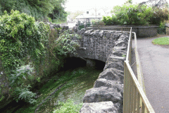 29.-Queens-Row-Pond-Crossing-A-Downstream-Face