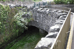 30.-Queens-Row-Pond-Crossing-A-Downstream-Face