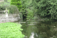 42.-River-Emerges-from-behind-Bay-Cottages