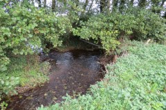 1.-Currypool-Stream-and-Peart-Water-join-to-form-Cannington-Brook-1