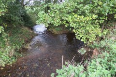 1.-Currypool-Stream-and-Peart-Water-join-to-form-Cannington-Brook-2