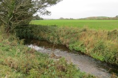 2.-Downstream-from-Source-10