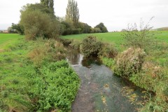 2.-Downstream-from-Source-2