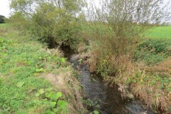 2.-Downstream-from-Source-4