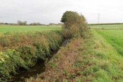 2.-Downstream-from-Source-5