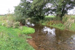 2.-Downstream-from-Source-6