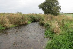 2.-Downstream-from-Source-7