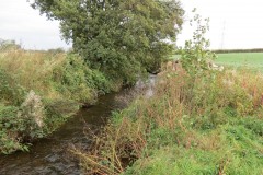 2.-Downstream-from-Source-8