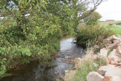 2.-Downstream-from-Source-9