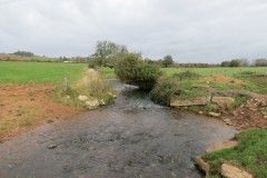 7.-Looking-downstream-from-Blackmore-Farm-Footbridge