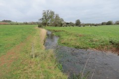 8.-Downstream-from-Blackmore-Farm-Footbridge-1