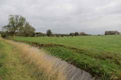 8.-Downstream-from-Blackmore-Farm-Footbridge-2