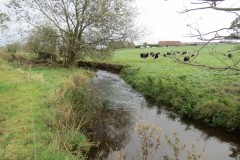 8.-Downstream-from-Blackmore-Farm-Footbridge-4