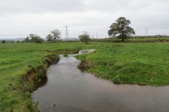 9.-Downstream-from-Blackmore-Farm-Footbridge-4