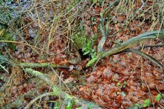 3.-2-Metres-from-Source