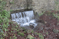 1.-St-Aldhelms-Well-3